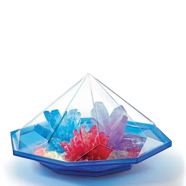 4M Steam / Crystal Garden
