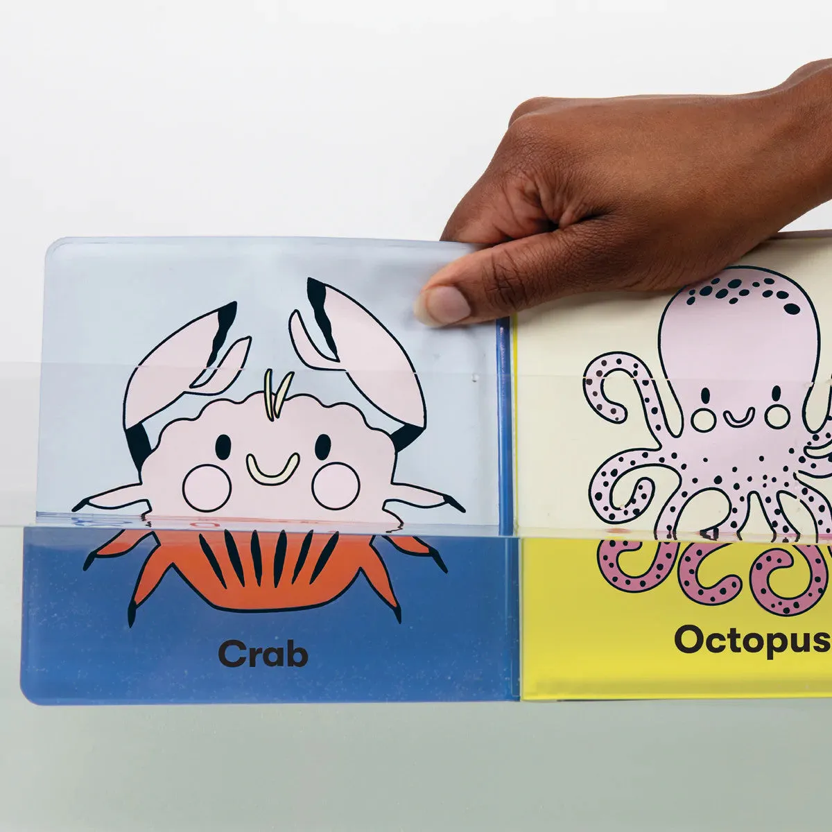 Bath Book - What Color Am I?