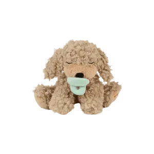 Binky Puppy - Benny