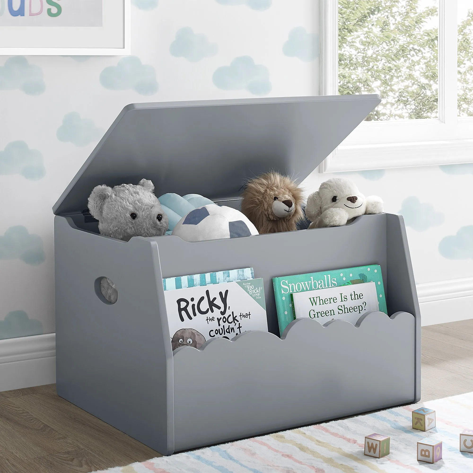 Cloud Toy Box