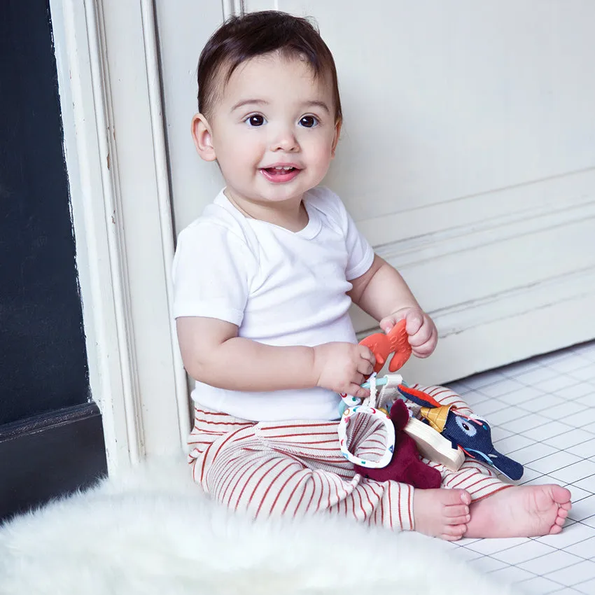 Farm Sensory Rattle
