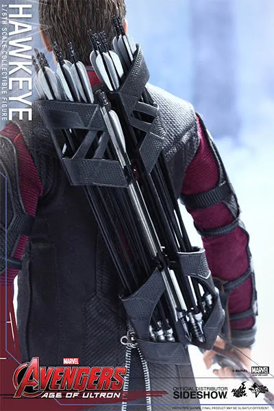 Hot Toys The Avengers Age of Ultron Hawkeye 1/6 Scale Action Figure MMS289