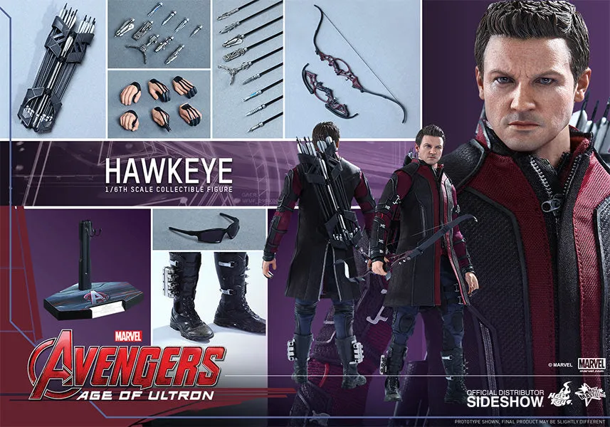 Hot Toys The Avengers Age of Ultron Hawkeye 1/6 Scale Action Figure MMS289