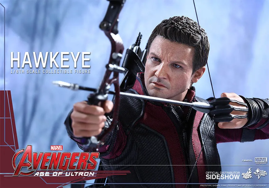 Hot Toys The Avengers Age of Ultron Hawkeye 1/6 Scale Action Figure MMS289