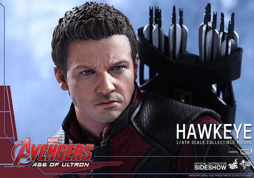Hot Toys The Avengers Age of Ultron Hawkeye 1/6 Scale Action Figure MMS289