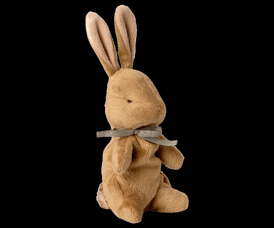 My First Bunny
