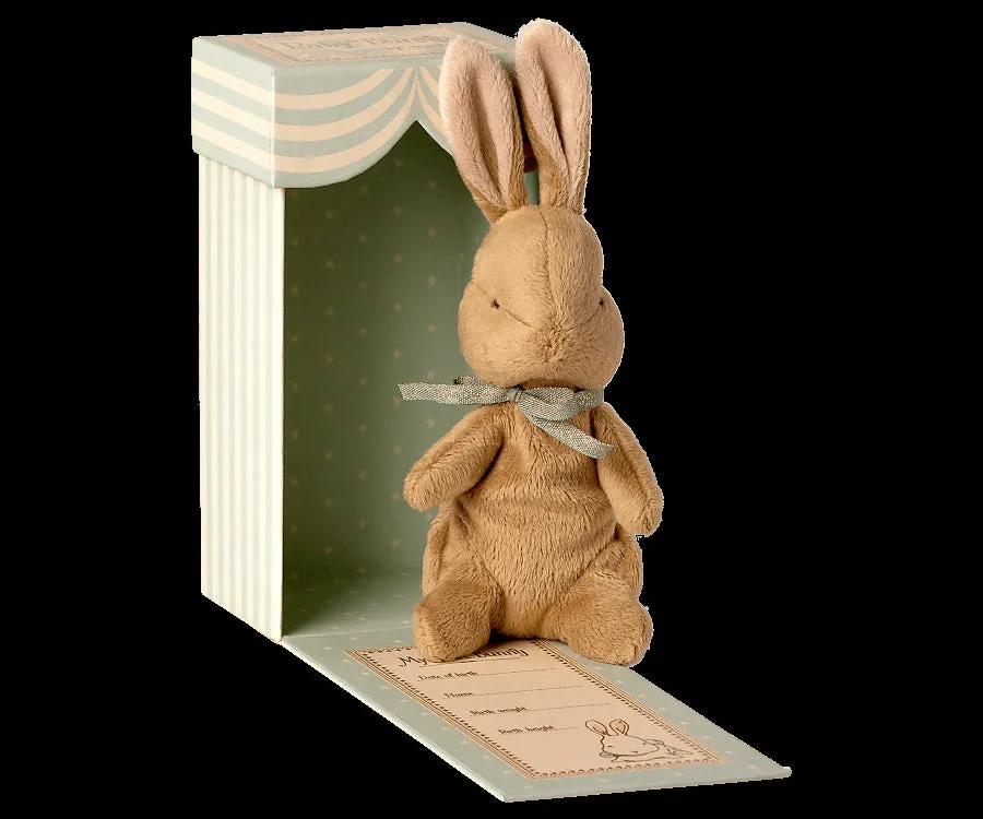 My First Bunny