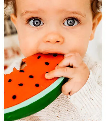 Wally The Watermelon